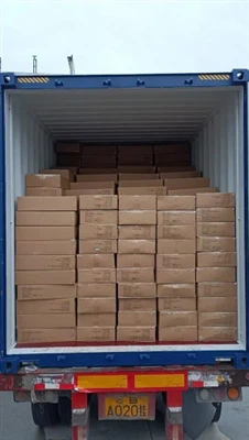 Shenzhen Guoyan Bags Co., Ltd. Completes 10,000 Travel Bags Order For U.S. Br...
